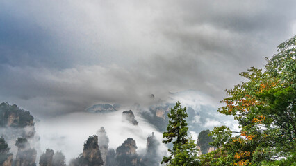 An incredible mountain landscape. The tops of high cliffs among the clouds. Trees with green and...