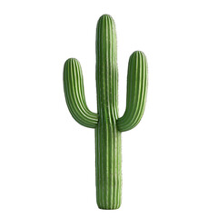 cactus isolated on white background