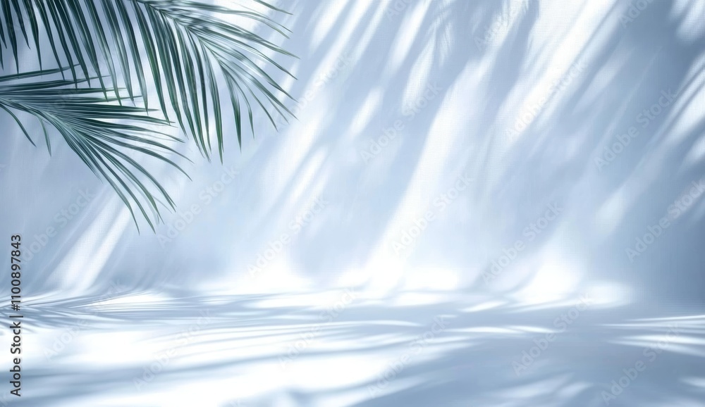 Poster minimalist abstract background with shadows of palm fronds soft light and ethereal glow for product 