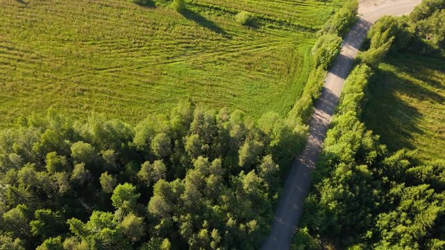 Aerial dolly tilt up along green forest and grass with dirt access road to Solar Farm showcasing bifacial panels and energy production, panoramic overview