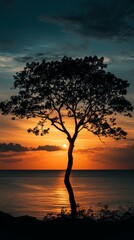 Solitary Tree Silhouette at Sunset Beach 