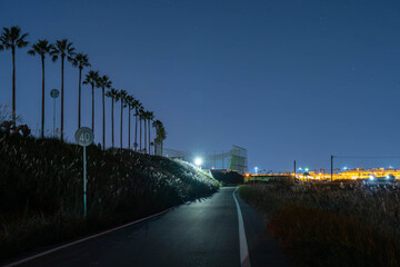 国道220号線（宮崎南バイパス）付近の夜景
