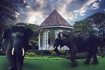 Experience the majestic beauty of elephants roaming freely in a serene garden setting