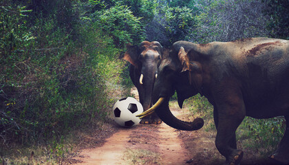 A group of elephants engaged in playing soccer amidst the beauty of natures landscape