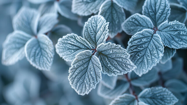 A close-up of delicate winter leaves covered in frost, with a glistening icy sheen. The image captures the ethereal beauty of winter's touch on nature. - Powered by Adobe