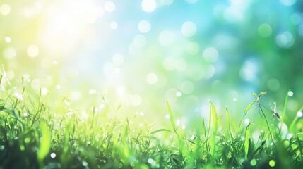Obraz premium Sunny spring meadow with blurred background, blue sky transitioning to green grass gradient, lush floral landscape, vibrant seasonal field, serene natural outdoor scenery