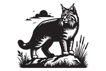 Obraz premium bobcat animal silhouette style vector illustration art white background