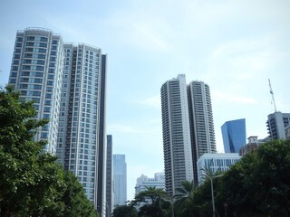Fototapeta premium Urban landscape with skyscrapers and trees, greenery, modern