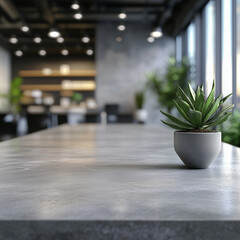 Fototapeta premium A potted plant sits on a table in a room with a grey countertop. The plant is a small green cactus, and it is the only object in the room. The room appears to be empty