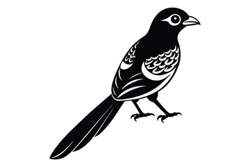 Fototapeta premium magpie bird animal silhouette vector illustration on white background