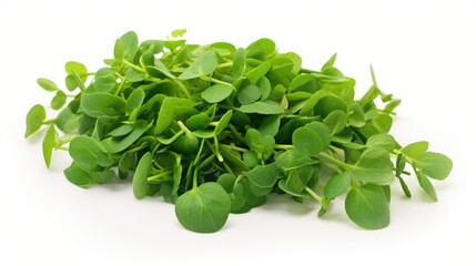 Obraz premium Fresh green methi leaves on a white background showcasing the texture and color of the herb used in culinary dishes.