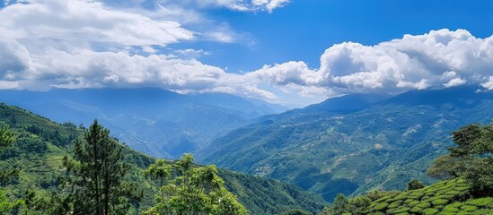Serene mountain landscape featuring lush tea gardens, vibrant greenery, and a tranquil sky creating a peaceful natural retreat