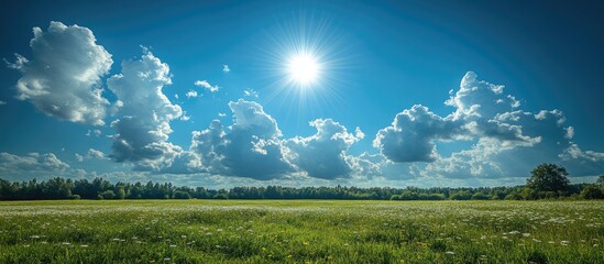 Fototapeta premium Bright sunny day with dramatic clouds over a lush green field and vibrant blue sky creating picturesque natural scenery.