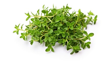 Fototapeta premium Fresh organic thyme sprigs on a clean white background showcasing natural herbs for culinary and wellness use
