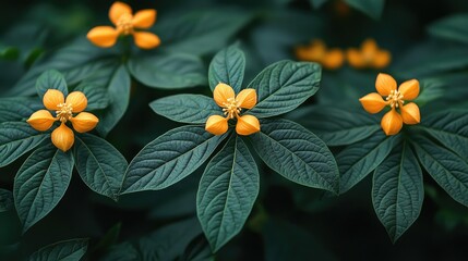 Nutritional benefits of papaya leaves and flowers for health enhancement and platelet increase with striking green foliage and vibrant blossoms