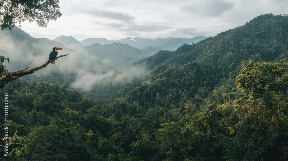 Poster a vibrant landscape featuring a lush green forest with mountains in the background and a colorful bi