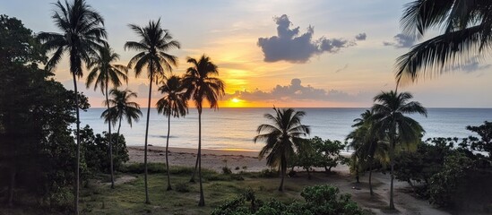 Obraz premium Serene sunset over a beach framed by lush coconut trees and tranquil waves creating a picturesque tropical paradise scene