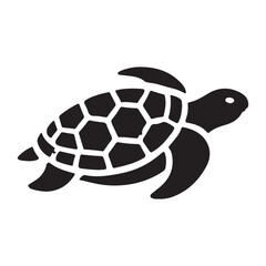 Obraz premium turtle illustration