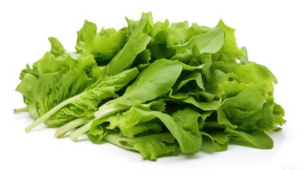 Fresh organic green lettuce leaves arranged on a white background showcasing healthy eating and vibrant nutrition for culinary purposes