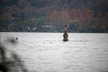 fisherman on the river