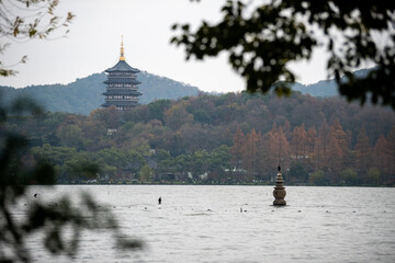 person sitting on a tree