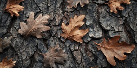 Textured background featuring leaves and bark of oak, showcasing the intricate details and natural beauty of oak foliage and bark in a visually appealing composition focusing on oak elements.