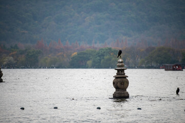 person sitting on the beach