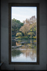 view from the window