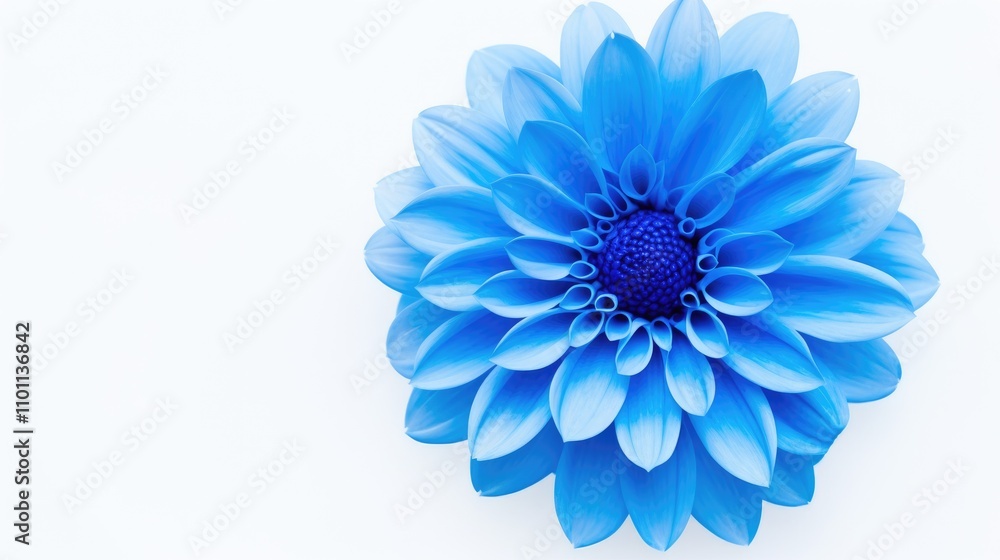 Poster blue floral texture on white background close-up capturing nature's beauty for design and pattern ap