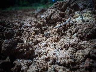 fertile soil ready for planting media, moist fertile soil