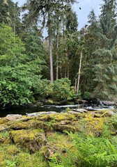 waterfall in the forest