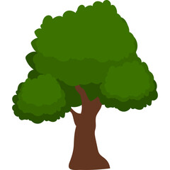 Tree Illustration