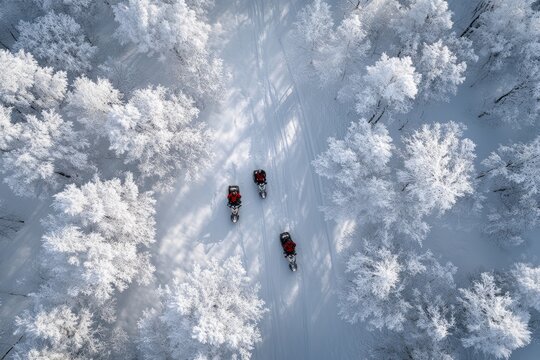 Aerial view of snowmobilers navigating through a snowy, frost-covered forest trail, showcasing winter adventure and exploration. - Powered by Adobe