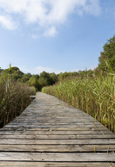 Obraz premium Ballinafid Lakes in Co Westmeath in Ireland