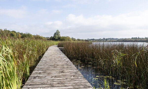 Ballinafid Lake in Co Westmeath in Ireland
