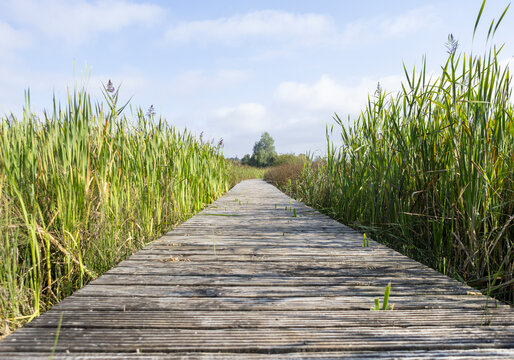 Ballinafid Lake in Co Westmeath, Ireland