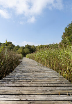 Ballinafid Lakes in Co Westmeath in Ireland