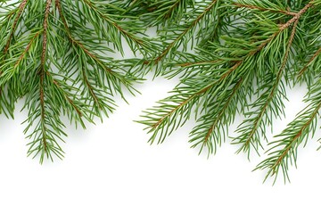 Fototapeta premium Pine tree branches on a white surface. Christmas decoration background with place for text. Xmas border. AI-generated