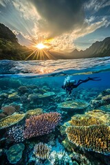 Fototapeta premium Diver explores vibrant coral reef at sunset.
