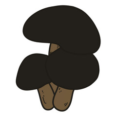 black mushroom