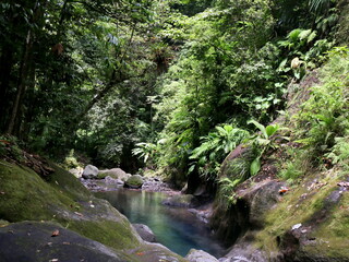 blue natural pond of clear freshwater in the lush green jungle above bassin bleu in Gourbeyre,...