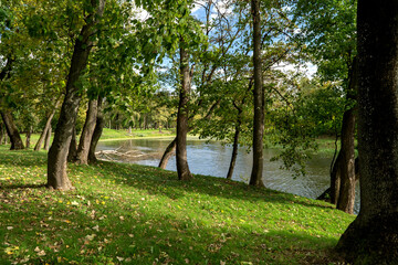 Park i staw Medyka © wedrownik52