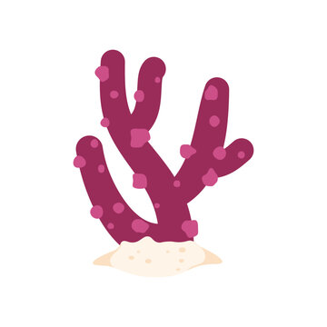 Underwater Plant Vector Illustration - 12