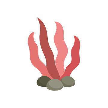 Underwater Plant Vector Illustration - 11
