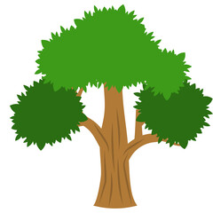 Tree Illustration