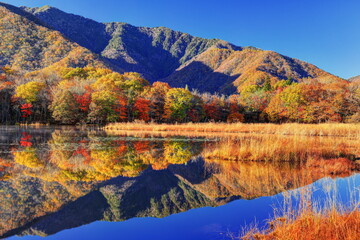 南会津・観音沼の紅葉