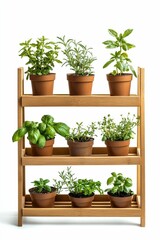 Wooden shelf holding potted herbs.