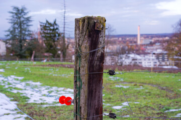 Fototapeta premium Beautiful view with scenic landscape and wooden pole of fence with skyline and cityscape in the background on an autumn evening. Photo taken November 25th, 2024, Zurich, Switzerland.