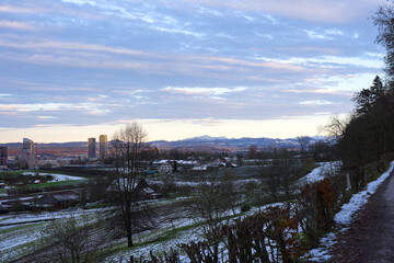 Beautiful view with scenic landscape and evening sky with skyline and cityscape in the background on an autumn day. Photo taken November 25th, 2024, Zurich, Switzerland.