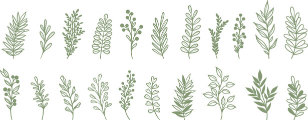 Green cute tiny plant doodles, vector leaf illustration set, line art leaves, isolated © Kati Moth